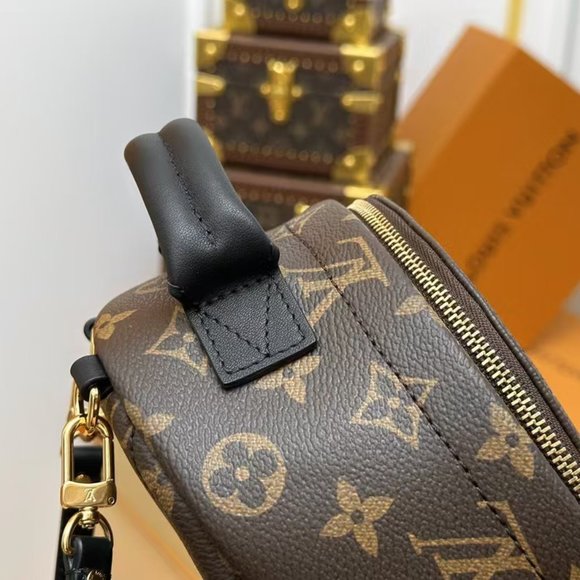 LV Brand new Louis Vuitton brown backpack casual bag travel bag main image 6
